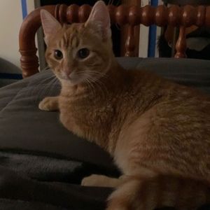 Meet your Posher, Olivia